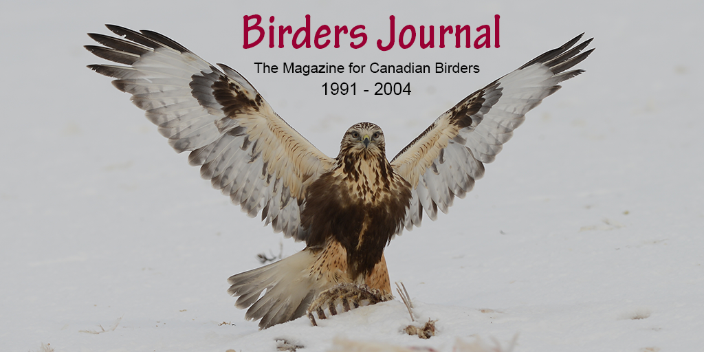 bird watcher articles